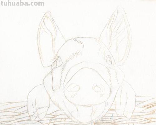 不用彩铅怎么画猪 挤挤猪绘画教程？