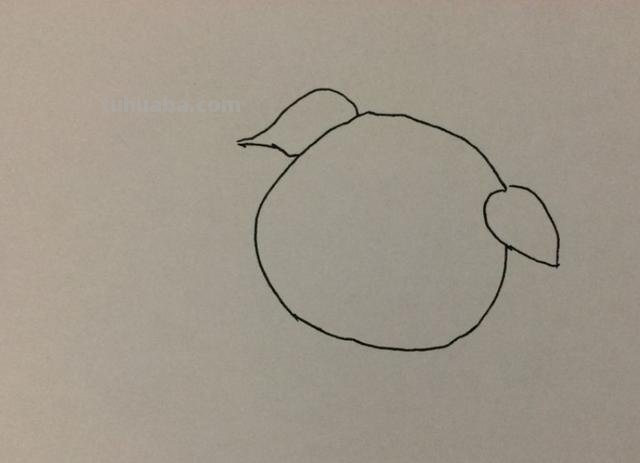 不用彩铅怎么画猪 挤挤猪绘画教程？