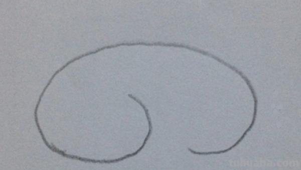 不用彩铅怎么画猪 挤挤猪绘画教程？