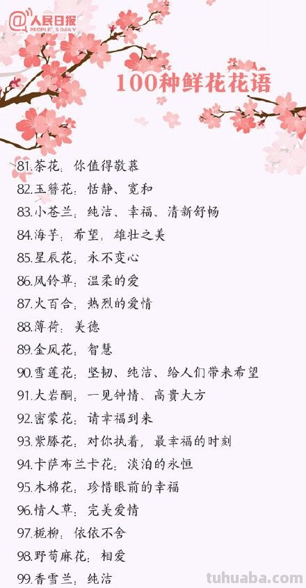 「花语大全」赏花就要懂花语，花语无声胜有声