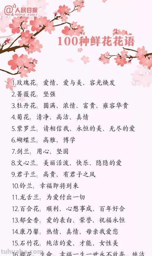 「花语大全」赏花就要懂花语，花语无声胜有声