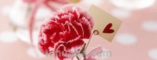 「花语大全」赏花就要懂花语，花语无声胜有声