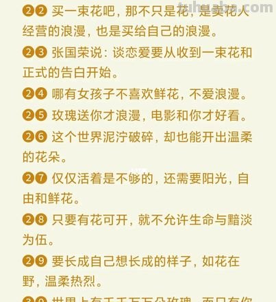 文案 ‖“一些花的花语”