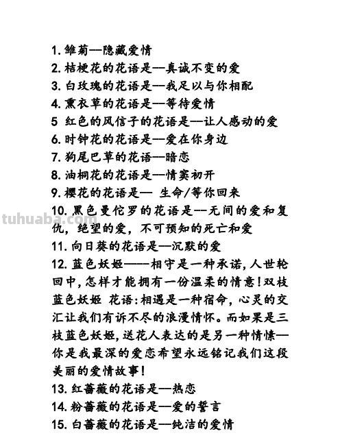 文案 ‖“一些花的花语”
