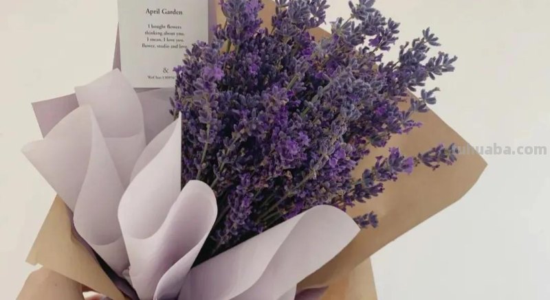 文案 ‖“一些花的花语”