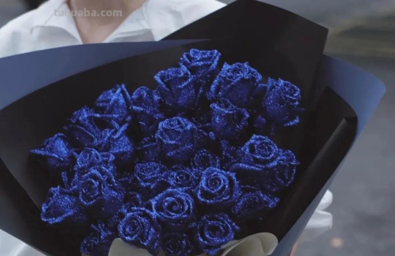 文案 ‖“一些花的花语”