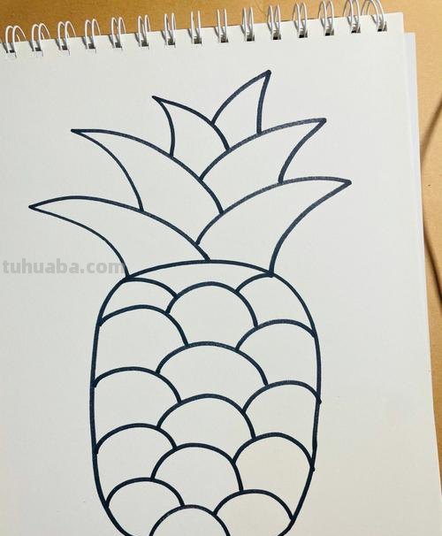 菠萝的简笔画怎么画 儿童画画教程3-6岁画水果菠萝？
