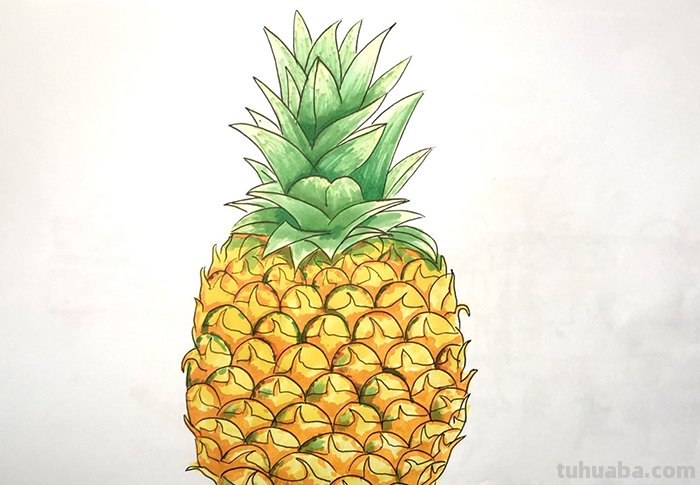 菠萝的简笔画怎么画 儿童画画教程3-6岁画水果菠萝？