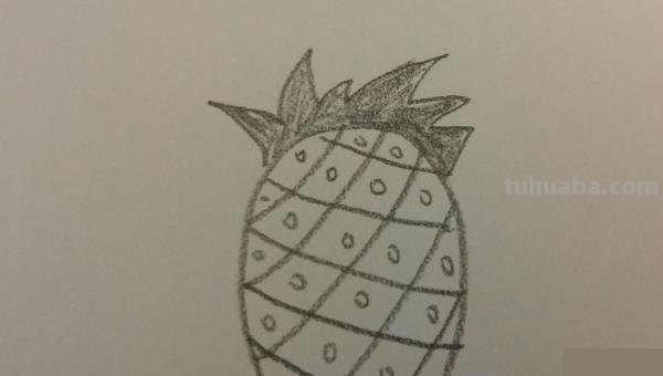 菠萝的简笔画怎么画 儿童画画教程3-6岁画水果菠萝？
