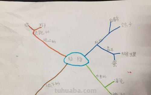 思维导图配什么画 思维导图可以加什么图案？