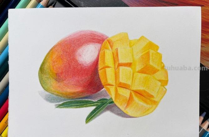 芒果素描彩铅怎么画 彩铅简单画？