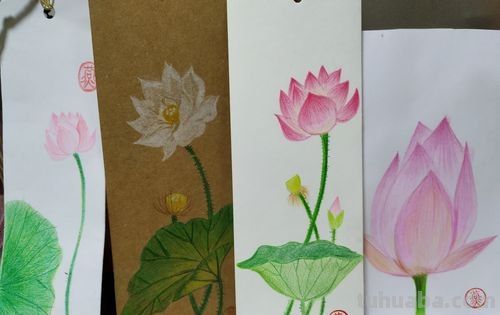 彩铅书签花朵怎么画 简单好看的荷花彩铅书签？