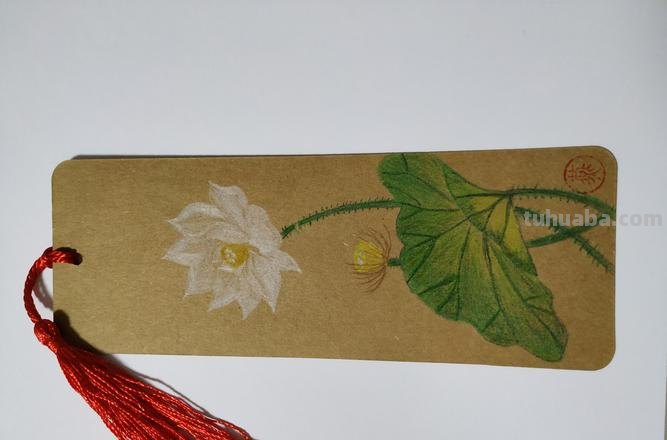 彩铅书签花朵怎么画 简单好看的荷花彩铅书签？