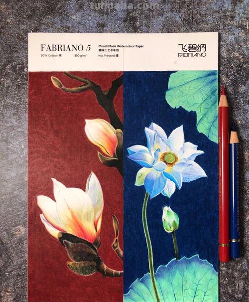 彩铅书签花朵怎么画 简单好看的荷花彩铅书签？