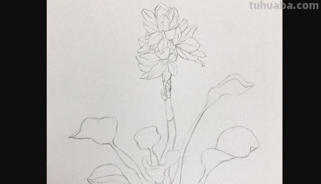 彩铅书签花朵怎么画 简单好看的荷花彩铅书签？