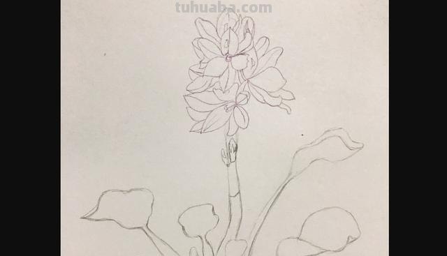 彩铅书签花朵怎么画 简单好看的荷花彩铅书签？