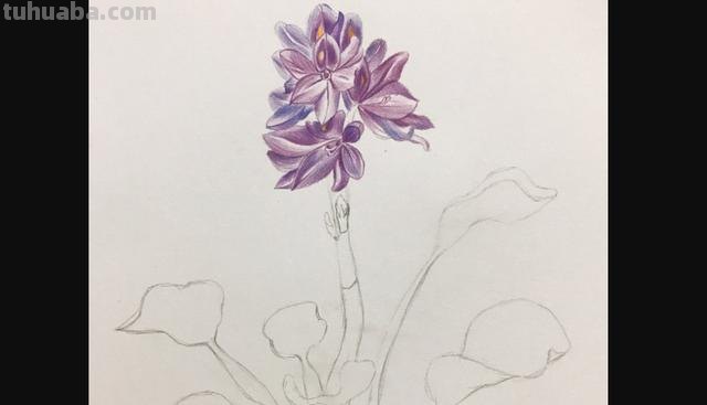 彩铅书签花朵怎么画 简单好看的荷花彩铅书签？