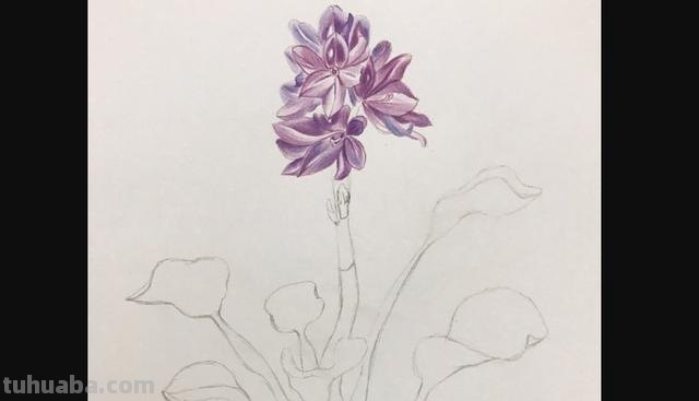 彩铅书签花朵怎么画 简单好看的荷花彩铅书签？