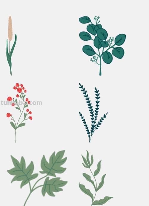 简笔画-春季花草绿植手绘免抠素材