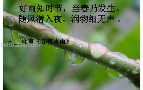 随风潜入夜润物细无声描写的是什么 随风潜入夜润物细无声描写的是什么雨