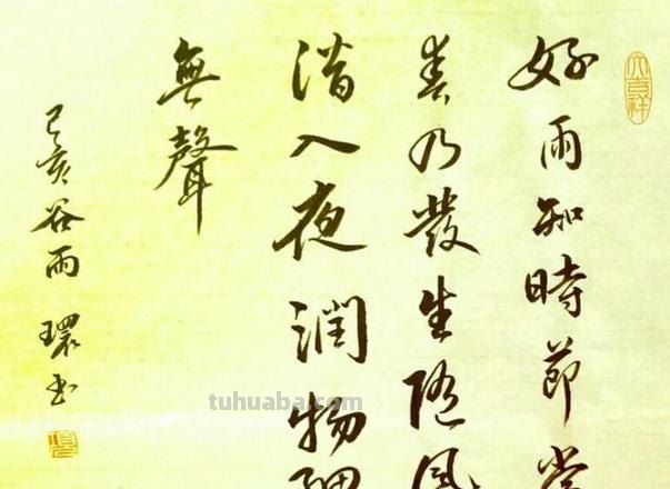 随风潜入夜润物细无声描写的是什么 随风潜入夜润物细无声描写的是什么雨