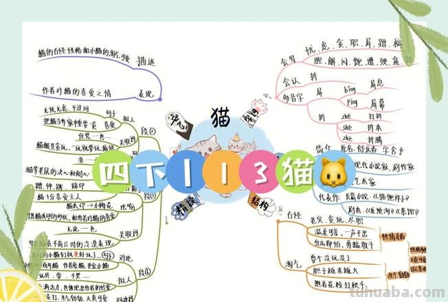 思维导图小猫怎么写 思维导图怎么写?
