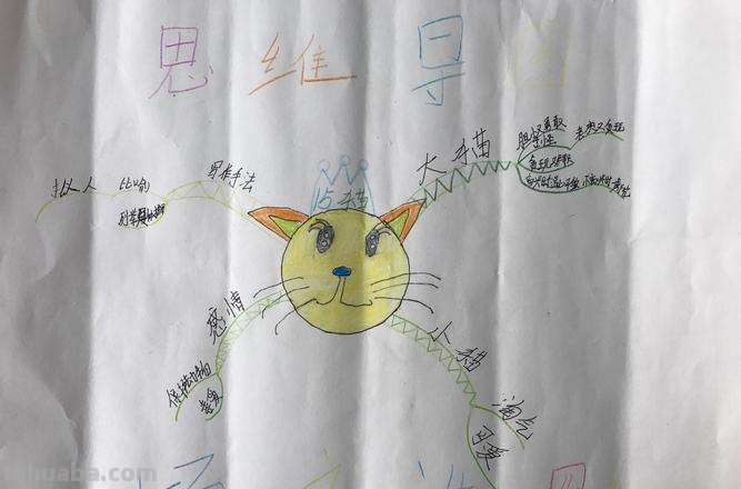 思维导图小猫怎么写 思维导图怎么写?