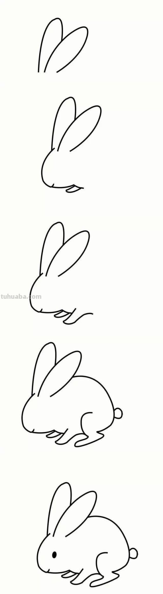 幼儿园小动物简笔画教程大全，老师家长收藏备用