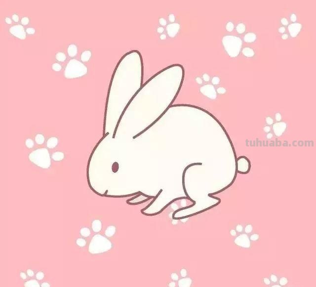 幼儿园小动物简笔画教程大全，老师家长收藏备用