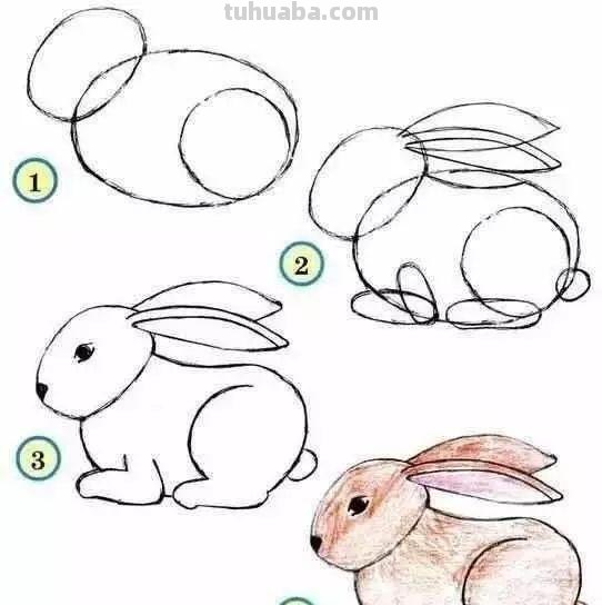 幼儿园小动物简笔画教程大全，老师家长收藏备用