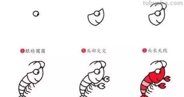 幼儿园小动物简笔画教程大全，老师家长收藏备用