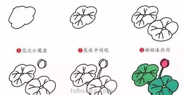 幼儿园小动物简笔画教程大全，老师家长收藏备用