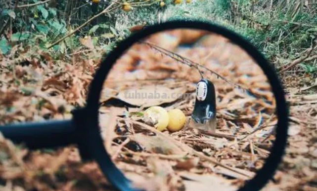 放大镜成什么样的像?