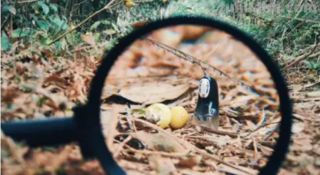 放大镜成什么样的像?