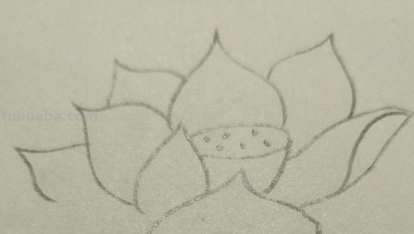 莲花怎么用彩铅画 彩铅画大荷花? 莲花怎么用彩铅画 彩铅画大荷花?