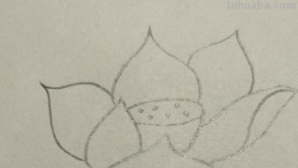 莲花怎么用彩铅画 彩铅画大荷花? 莲花怎么用彩铅画 彩铅画大荷花?