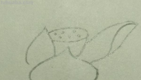 莲花怎么用彩铅画 彩铅画大荷花? 莲花怎么用彩铅画 彩铅画大荷花?