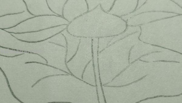 莲花怎么用彩铅画 彩铅画大荷花? 莲花怎么用彩铅画 彩铅画大荷花?