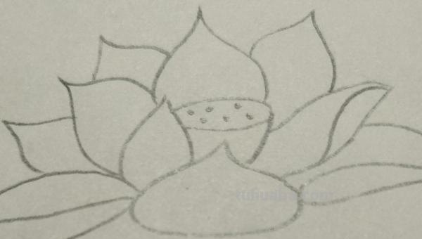 莲花怎么用彩铅画 彩铅画大荷花? 莲花怎么用彩铅画 彩铅画大荷花?