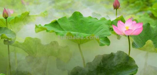 四面荷花三面柳,一城山色半城湖写的哪个城市? 四面荷花三面柳,一城山色半城湖写的哪个城市?