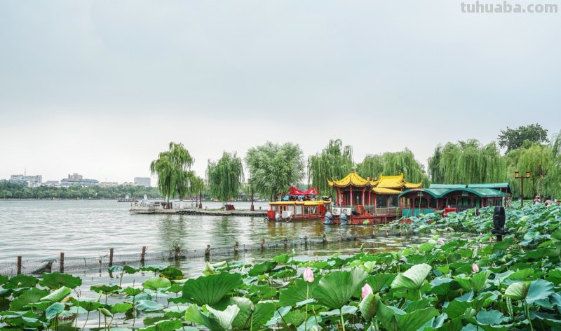 “四面荷花三面柳,一城山色半城湖”,猜猜这是写的哪个城市? “四面荷花三面柳,一城山色半城湖”,猜猜这是写的哪个城市?