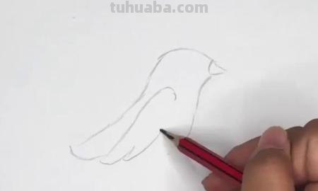 黄鹂鸟怎么画简笔画 小鸟怎么画简单又好看？