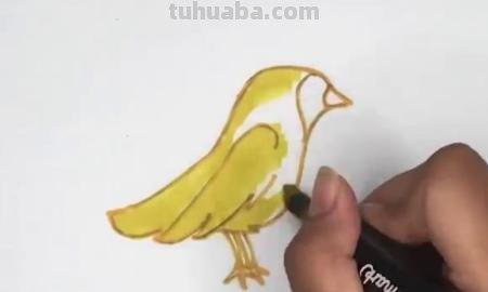 黄鹂鸟怎么画简笔画 小鸟怎么画简单又好看？