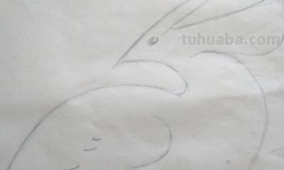 黄鹂鸟怎么画简笔画 小鸟怎么画简单又好看？
