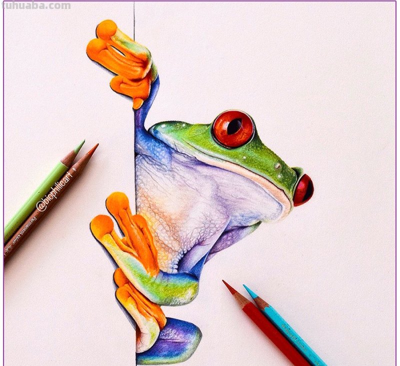 彩铅画参考作品|美丽的花鸟 彩铅画参考作品|美丽的花鸟