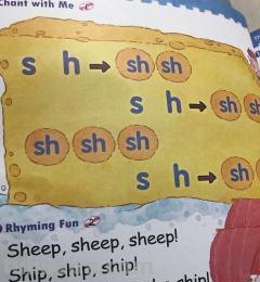sh怎么读思维导图 sh怎么拼读?