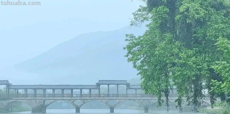 网红原乡光明景 画里小河党旗扬