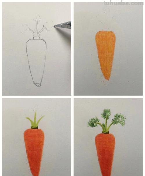 抽象彩铅萝卜怎么画 萝卜怎么画？