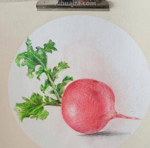 抽象彩铅萝卜怎么画 萝卜怎么画？