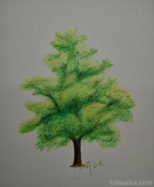 树怎么画详细彩铅 怎么使用彩铅画树？